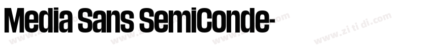 Media Sans SemiConde字体转换 Media Sans SemiConde字体转换